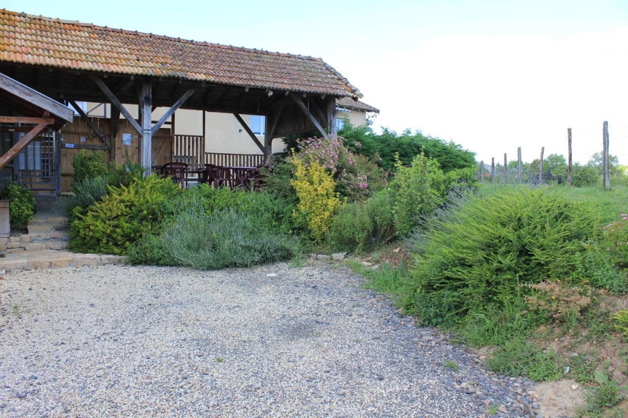 Le Moulin Traffay Guest House Saint-Didier-sur-Chalaronne Luaran gambar