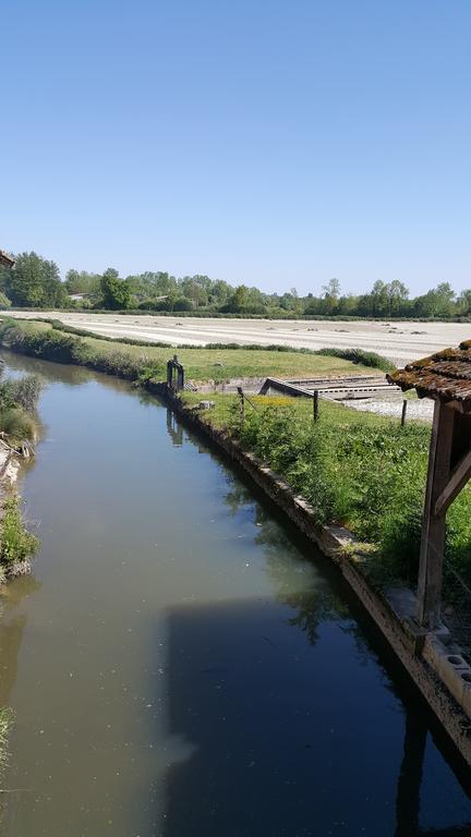 Le Moulin Traffay Guest House Saint-Didier-sur-Chalaronne Luaran gambar