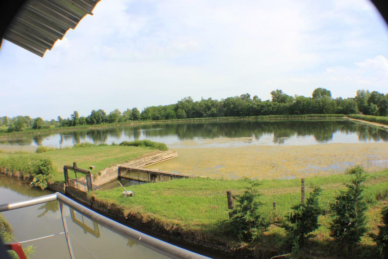 Le Moulin Traffay Guest House Saint-Didier-sur-Chalaronne Luaran gambar